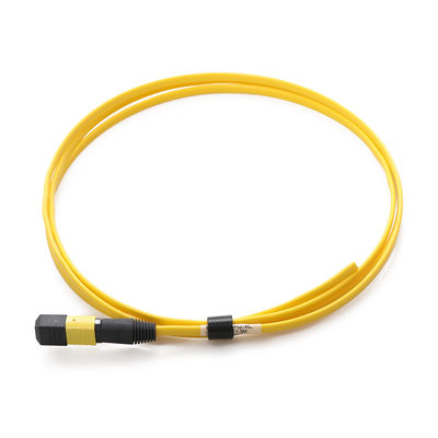 G657a1 cavo a fibre ottiche monomodale MPO MTP 12F 1.5M For FTTX FTTX