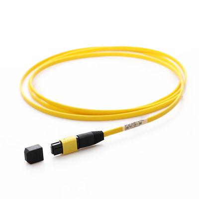 G657a1 cavo a fibre ottiche monomodale MPO MTP 12F 1.5M For FTTX FTTX