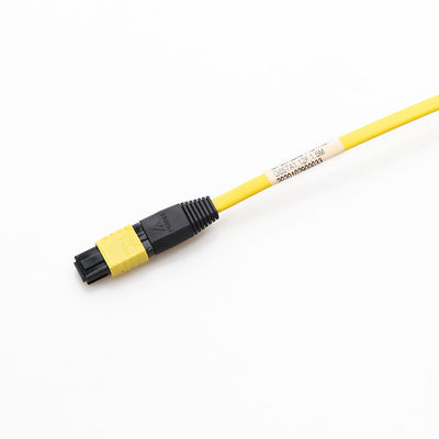 G657a1 cavo a fibre ottiche monomodale MPO MTP 12F 1.5M For FTTX FTTX