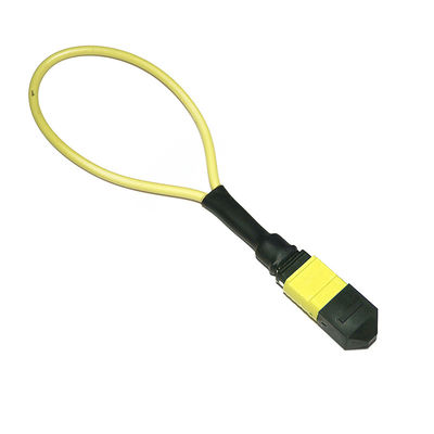 24 tester di fibra ottica MTP MPO di &quot;loopback&quot; della fibra per Data Center